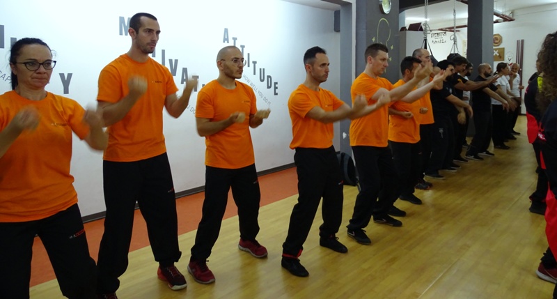 Kung Fu Academy di Sifu Mezzone Caserta Seminario di Weng Chun Tang Yik con GM Sunny So in Italia presso la scuola di arti marziali di wing chun e kung fu a Caserta (2)